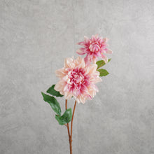 Load image into Gallery viewer, Dahlia Pink 60CM
