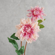Load image into Gallery viewer, Dahlia Pink 60CM
