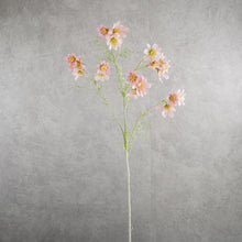 Load image into Gallery viewer, Cosmos Pink 78cm
