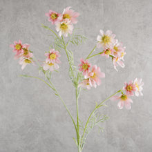 Load image into Gallery viewer, Cosmos Pink 78cm

