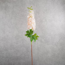 Load image into Gallery viewer, Delphinium Pink 80cm
