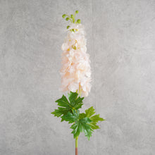 Load image into Gallery viewer, Delphinium Pink 80cm

