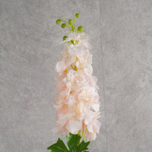 Load image into Gallery viewer, Delphinium Pink 80cm
