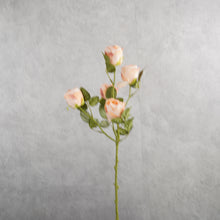 Load image into Gallery viewer, Rose Spray Peach 60cm
