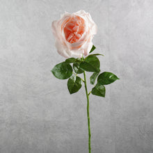 Load image into Gallery viewer, Peony Light Pink 63cm

