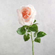Load image into Gallery viewer, Peony Light Pink 63cm
