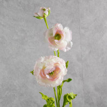Load image into Gallery viewer, Ranunculus Pink 68cm
