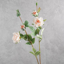 Load image into Gallery viewer, Rosespray Light Pink 66cm
