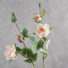 Load image into Gallery viewer, Rosespray Light Pink 66cm
