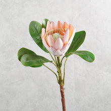 Load image into Gallery viewer, King Protea Light Pink 52cm

