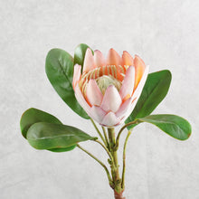 Load image into Gallery viewer, King Protea Light Pink 52cm
