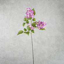 Load image into Gallery viewer, Lilac Purple 77cm
