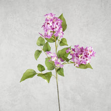 Load image into Gallery viewer, Lilac Purple 77cm
