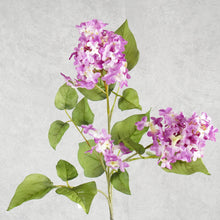 Load image into Gallery viewer, Lilac Purple 77cm
