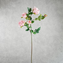 Load image into Gallery viewer, Rose 5 Heads Pink 92cm
