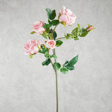 Load image into Gallery viewer, Rose 5 Heads Pink 92cm
