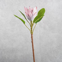 Load image into Gallery viewer, King Protea Dark Pink 52cm
