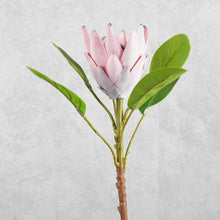 Load image into Gallery viewer, King Protea Dark Pink 52cm

