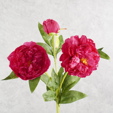 Load image into Gallery viewer, Peony 3 Heads Rose Pink 75cm

