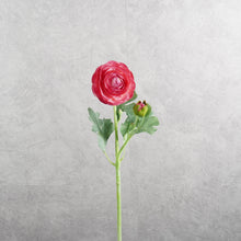 Load image into Gallery viewer, Ranunculu Hot Pink 50cm
