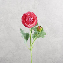 Load image into Gallery viewer, Ranunculu Hot Pink 50cm
