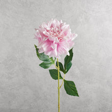 Load image into Gallery viewer, Dahlia Pink 60cm
