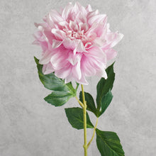 Load image into Gallery viewer, Dahlia Pink 60cm

