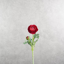 Load image into Gallery viewer, Ranunculu Red 50cm
