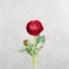 Load image into Gallery viewer, Ranunculu Red 50cm
