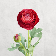 Load image into Gallery viewer, Ranunculu Red 50cm
