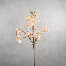 Load image into Gallery viewer, Blossom Pink 62cm
