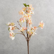 Load image into Gallery viewer, Blossom Pink 62cm
