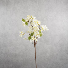 Load image into Gallery viewer, Blossom White 62cm
