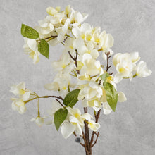Load image into Gallery viewer, Blossom White 62cm
