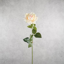 Load image into Gallery viewer, Rose Peach 77cm
