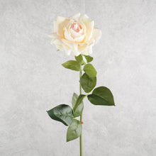 Load image into Gallery viewer, Rose Peach 77cm
