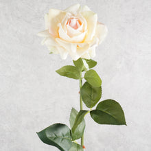 Load image into Gallery viewer, Rose Peach 77cm
