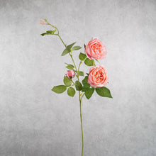 Load image into Gallery viewer, Rose Hot Pink 74cm
