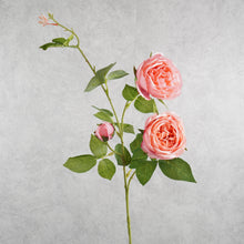 Load image into Gallery viewer, Rose Hot Pink 74cm
