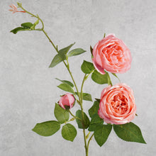 Load image into Gallery viewer, Rose Hot Pink 74cm

