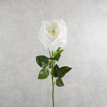 Load image into Gallery viewer, Rose Austin White 67cm
