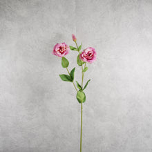 Load image into Gallery viewer, Lisianthus Purple 72cm

