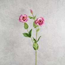 Load image into Gallery viewer, Lisianthus Purple 72cm
