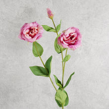 Load image into Gallery viewer, Lisianthus Purple 72cm
