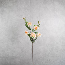 Load image into Gallery viewer, Iceberg Rose 7 Heads Peach 74cm
