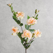 Load image into Gallery viewer, Iceberg Rose 7 Heads Peach 74cm

