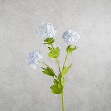 Load image into Gallery viewer, Snowball Light Blue 65cm
