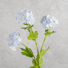 Load image into Gallery viewer, Snowball Light Blue 65cm
