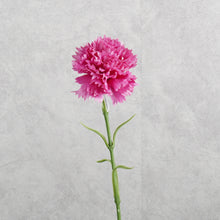 Load image into Gallery viewer, Carnation Hot Pink 50cm
