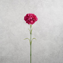 Load image into Gallery viewer, Carnation Hot Pink 50cm
